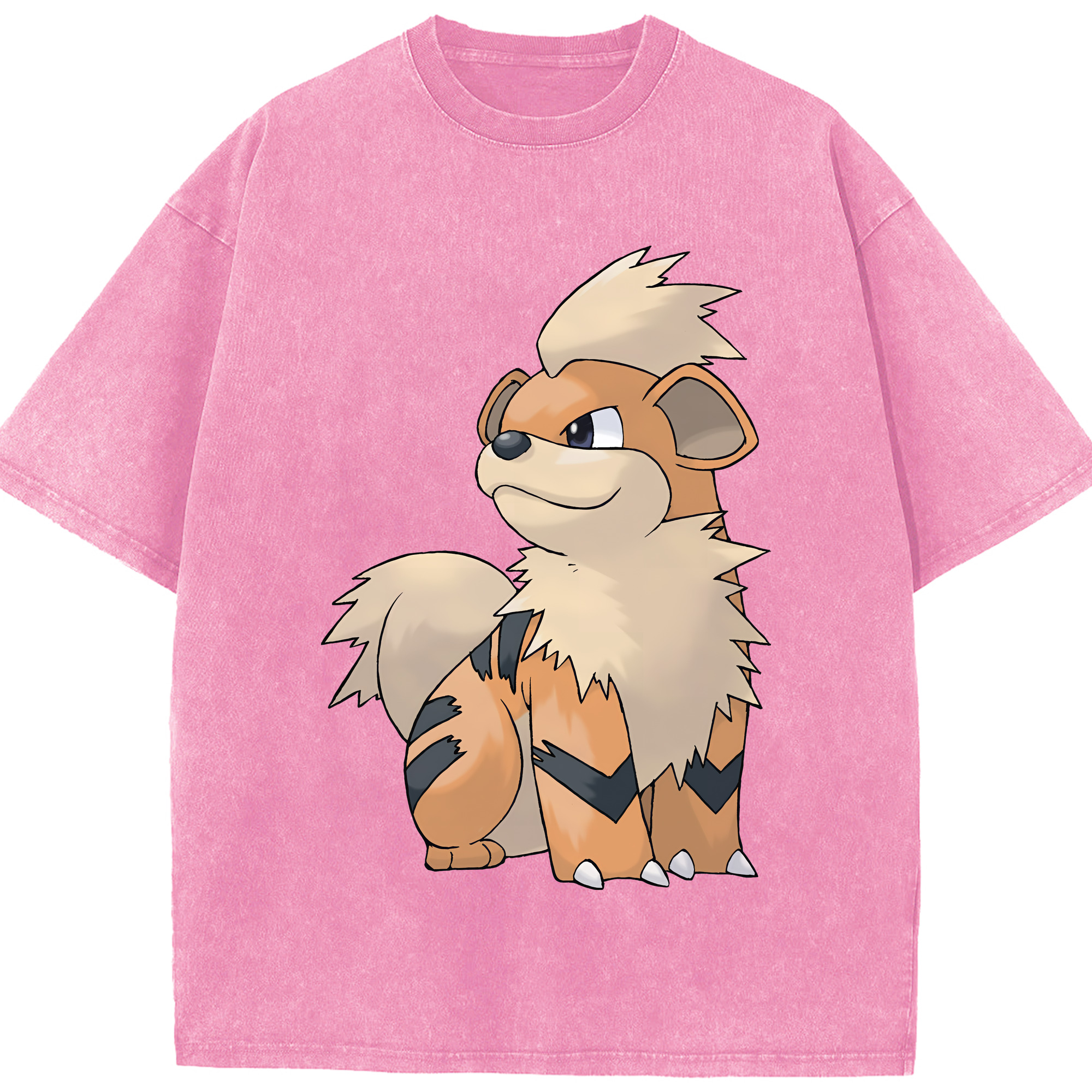 （画像用） ポケットモンスター Pokémon 綿100% ヴィンテージ風 半袖Tシャツ（フロントプリント）